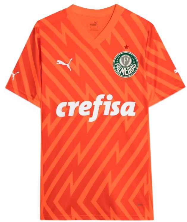 Camisa Goleiro III Palmeiras 2024 Puma oficial 